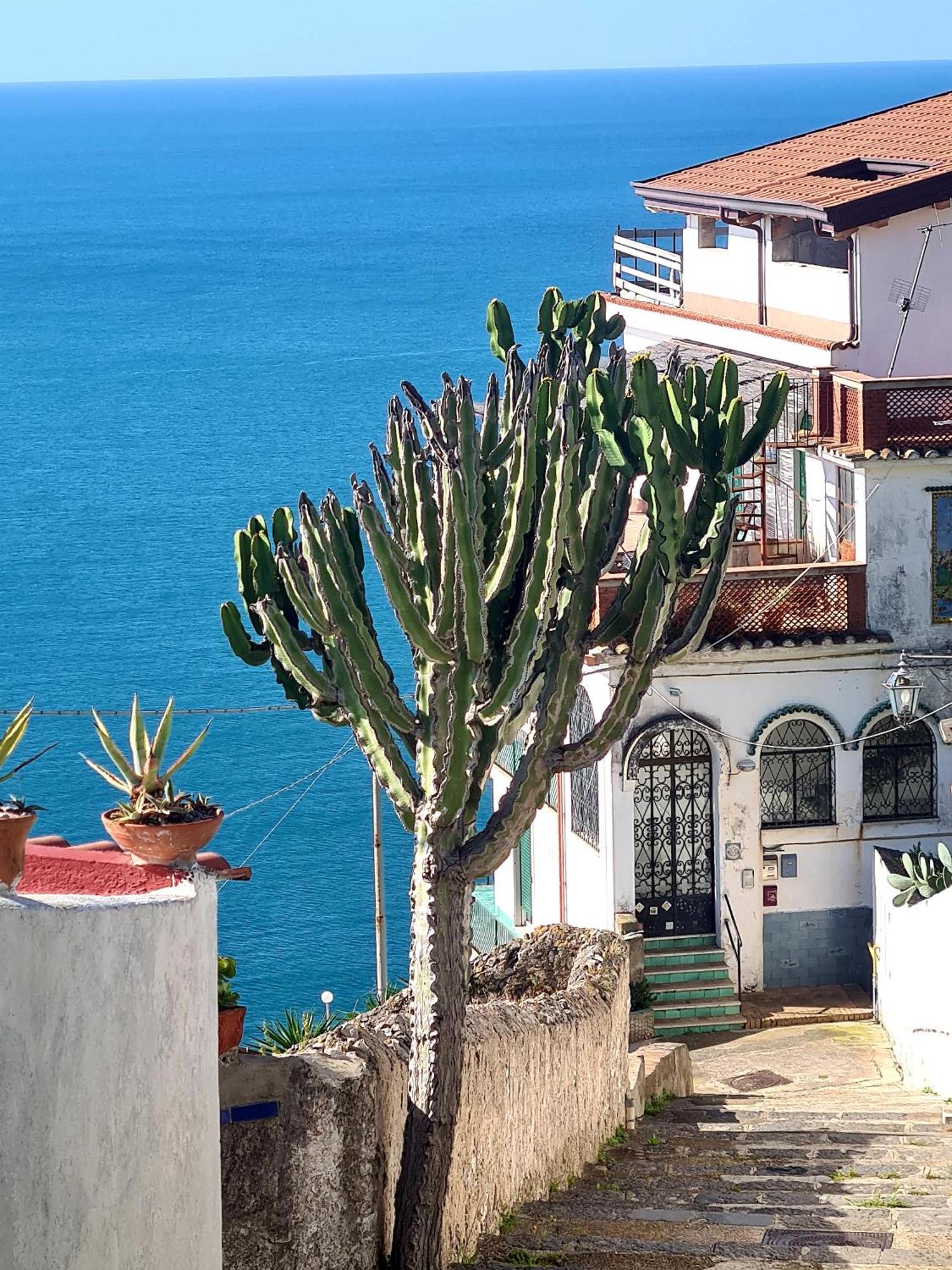Le Due Sorelle Vietri Dış mekan fotoğraf